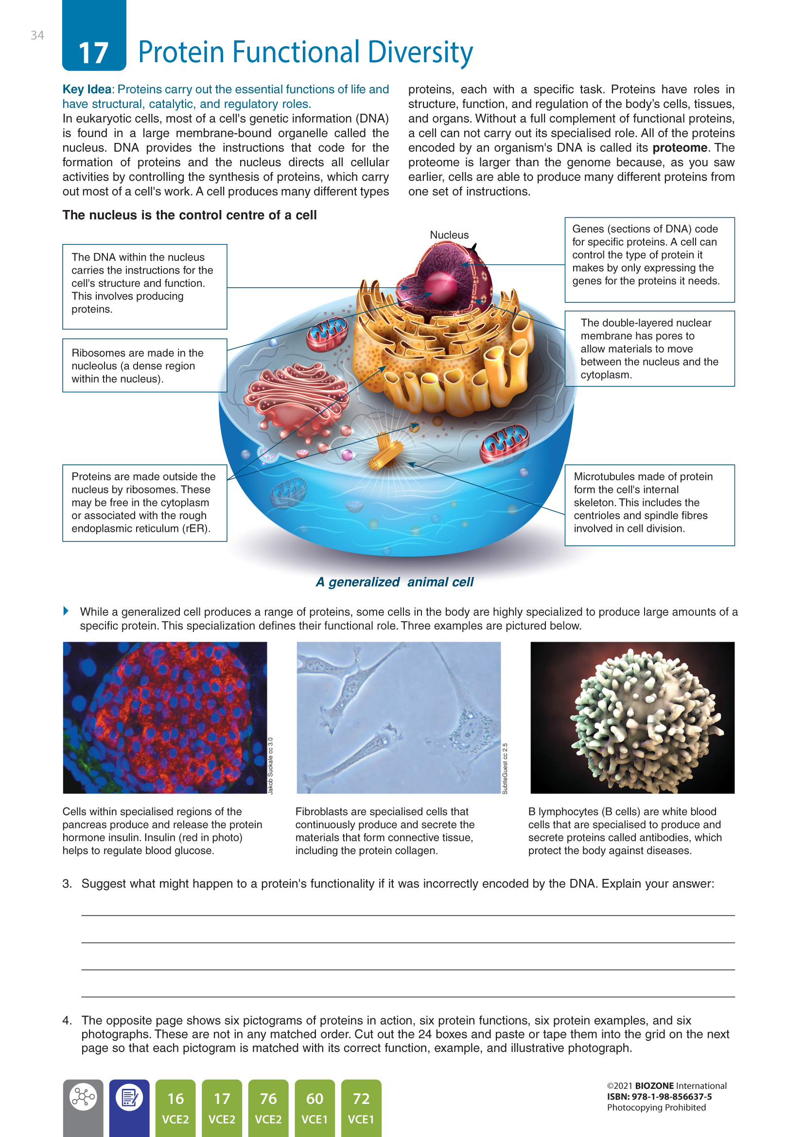 VCE2 Sample Page